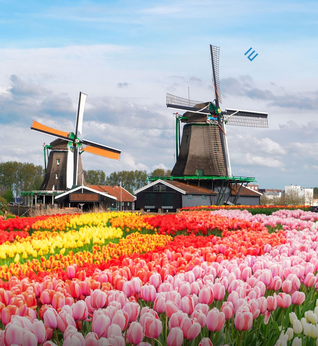 02. Europe_Netherland