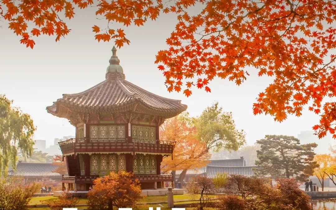 Top Fall Escapes - Where Asia Glows in Gold