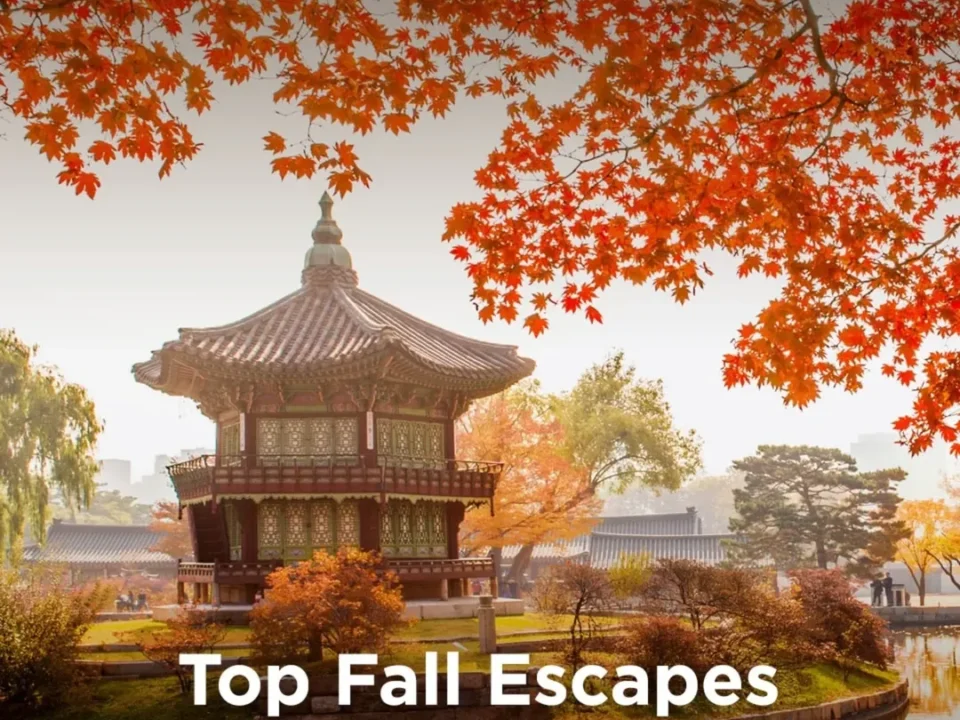 Top Fall Escapes - Where Asia Glows in Gold