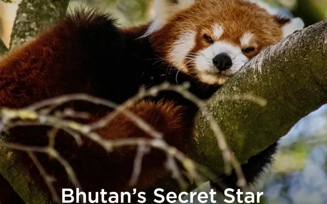 Bhutan's Secret Star