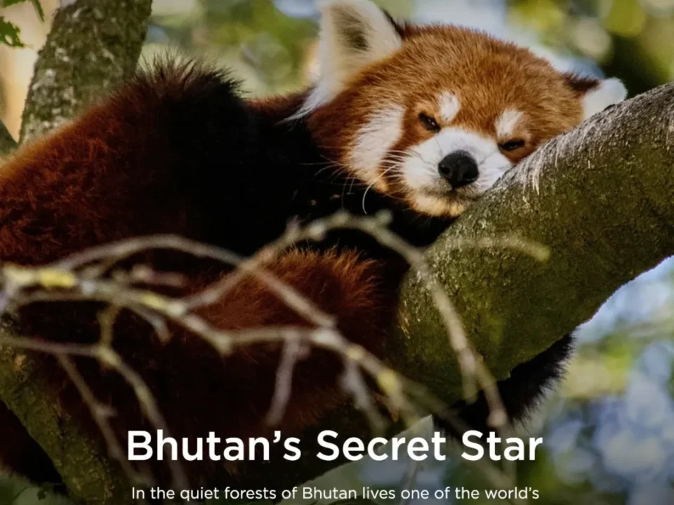 Bhutan's Secret Star