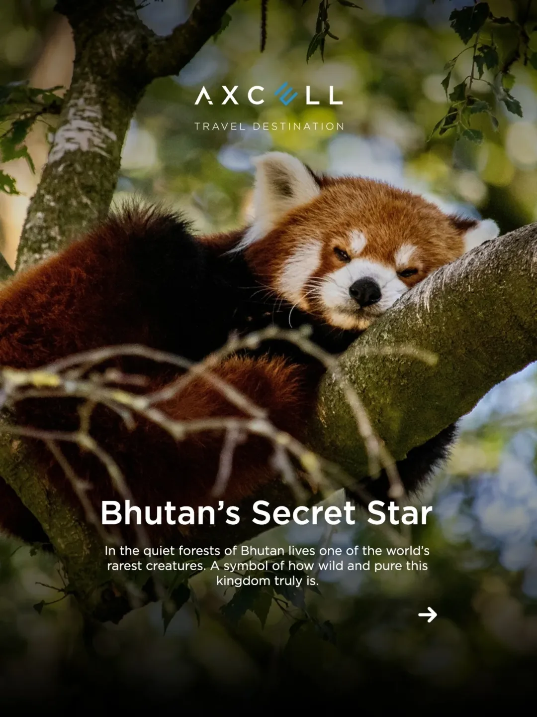 Bhutan's Secret Star
