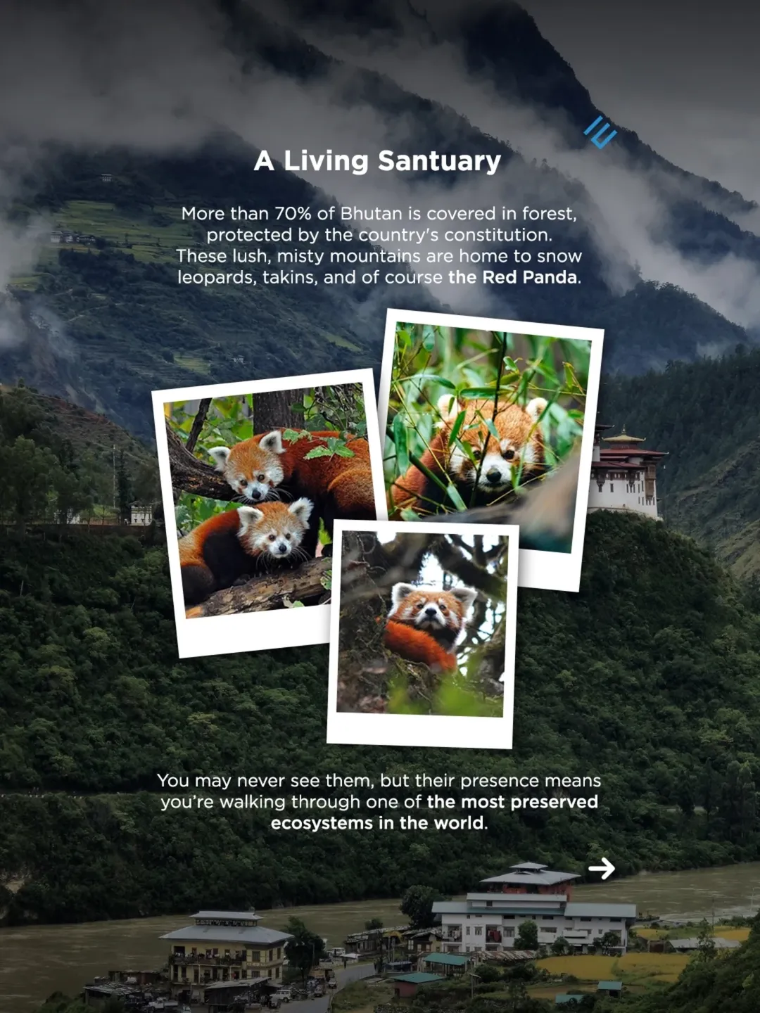 Bhutan's Secret Star