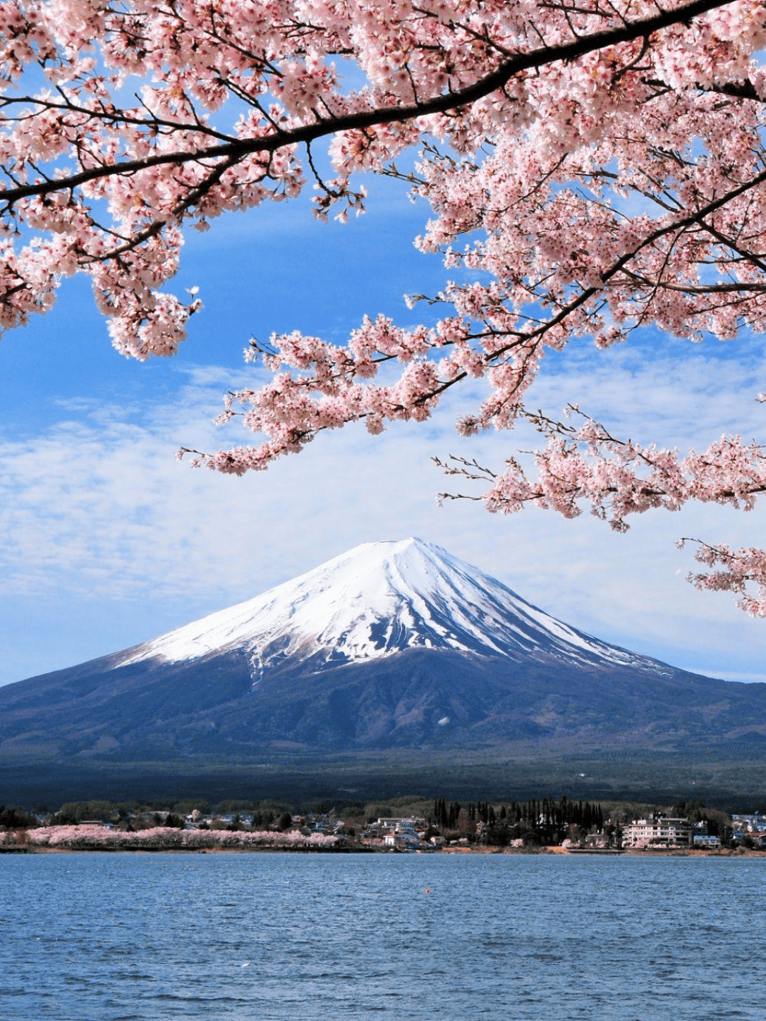 Mount Fuji